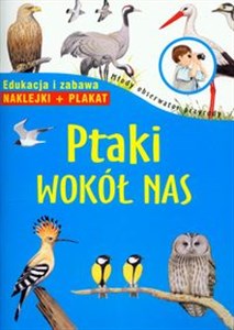 Obrazek Ptaki wokół nas