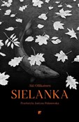 Książka : Sielanka - Aki Ollikainen
