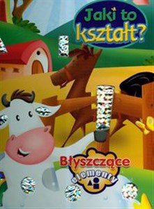 Picture of Jaki to kształt Błyszczące elementy