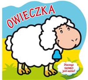 Obrazek Owieczka Dlaczego słonko jest ważne?