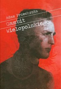 Picture of Gambit Wielopolskiego