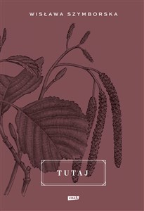 Picture of Tutaj