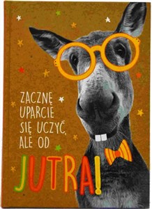 Picture of Brulion A5/96K kratka Geniusz-02