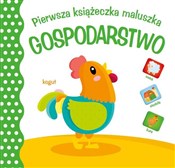 polish book : Pierwsza k... - Opracowanie Zbiorowe