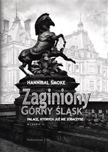Picture of Zaginiony Górny Śląsk. Pałace, których już nie...