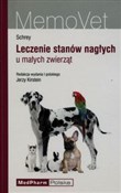 Leczenie s... - Christian F. Schrey -  books from Poland