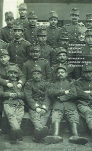 Obrazek Węgierskie Lwy Judy w Galicji