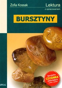 Picture of Bursztyny Lektura z opracowaniem