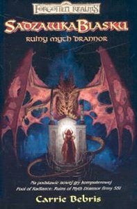 Obrazek Sadzawka blasku Ruiny mych Drannor