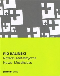 Picture of Notatki metafizyczne