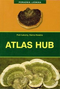 Picture of Atlas hub