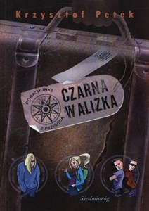 Picture of Czarna walizka