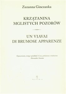 Picture of Krzątanina mglistych pozorów