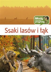 Obrazek Ssaki lasów i łąk