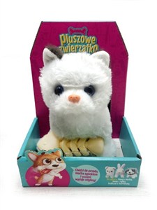 Obrazek Kotek chodzący z rybką