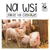 Polska książka : Na wsi Jak... - Opracowanie Zbiorowe