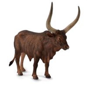 Picture of Byk Ankole-Watusi