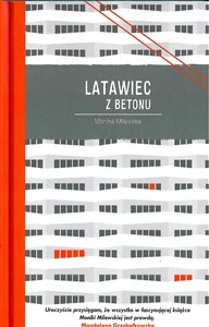 Picture of Latawiec z betonu