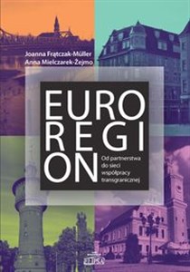 Picture of Euroregion Od partnerstwa do sieci współpracy transgranicznej