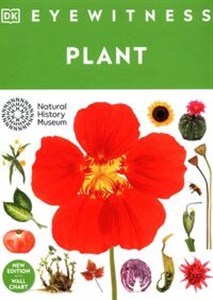 Picture of Eyewitness Plant