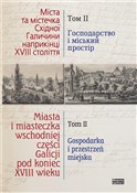 Miasta i m... -  foreign books in polish 