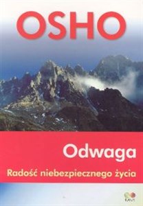 Picture of Odwaga. Radość niebezpiecznego życia