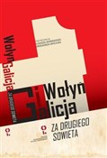 Wołyń i Ga... -  books in polish 
