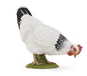 Kura biała... -  Książka z wysyłką do UK