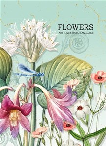 Obrazek Notatnik ozdobny 145x197/64K kratka TW Ważka