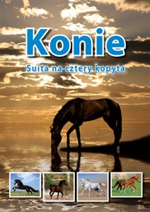 Picture of Konie Suita na cztery kopyta