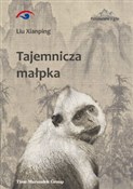 Tajemnicza... - Liu Xianping -  books from Poland