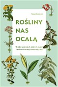 polish book : Rośliny na... - Miriam Borovich