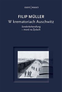 Obrazek W krematoriach Auschwitz. Sonderbehandlung - mord na Żydach