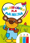 Polska książka : Kolorowank... - Ilona Brydak (ilustr.)