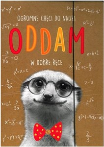 Picture of Teczka A4 z gumką Geniusz-02