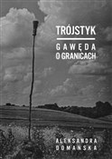 Trójstyk G... - Aleksandra Domańska -  Polish Bookstore 
