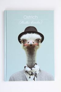 Obrazek Brulion A5 w kratkę 96 kartek