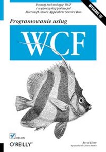 Obrazek Programowanie usług WCF