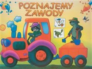 Picture of Poznajemy zawody