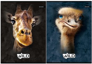 Obrazek Zeszyt A5/60K linia Wild (5szt)