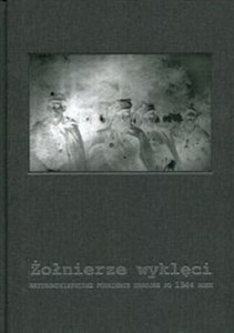 Picture of Żołnierze wyklęci Antykomunistyczne podziemie zbrojne po 1944 roku