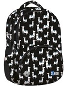 Polska książka : Plecak 4-k...