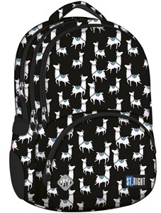 Picture of Plecak 4-komorowy Lamy