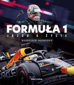 Zobacz : FORMUŁA 1 ... - Stuart Codling