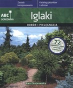 Iglaki Dob... - Ewa Chojnowska -  books from Poland