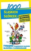 1000 śląsk... - Ewelina Sokół-Galwas -  foreign books in polish 