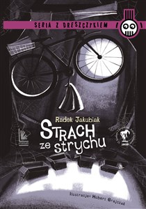 Picture of Strach ze strychu