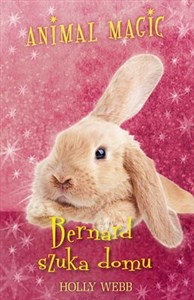 Picture of Animal Magic Bernard szuka domu