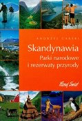 Skandynawi... - Andrzej Garski -  Polish Bookstore 