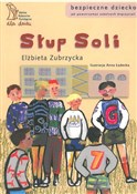 Słup soli - Elżbieta Zubrzycka -  Polish Bookstore 